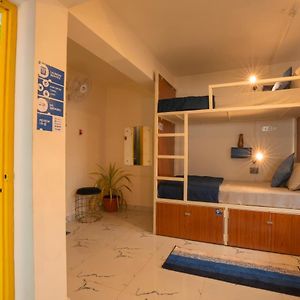 Bunk Bed Mixed Dormitory Room